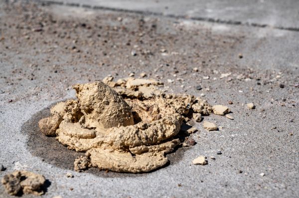 Cost of Driveway Slab Leveling in Marysville